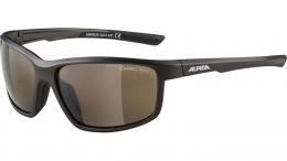 Alpina Defey Fahrradbrille TIN MATT-BLACK CMBR ONE SIZE