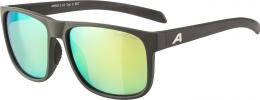 Alpina Nacan III Sportbrille (322 coffee/grey matt, Scheibe: neon yellow mirror (S3))