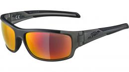 Alpina Testido Fahrradbrille ANTHRACITE MATT-BLACK ONE SIZE