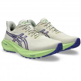 Asics GT-2000 13 TR Men | 1011C042-300