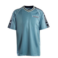Herren T-Shirt - Sports Shadow Stripe Jersey - Light Blue