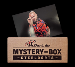 McDart Raymond Van Barneveld Steeldart Fan Box