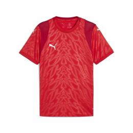     Puma TeamCUP Trikot 706272
  