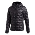 TERREX Lite Down Hooded Jacket